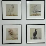 Apartamentyrogowo Com *