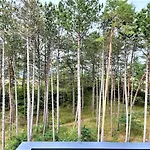 Apartamentyrogowo Com Appartement