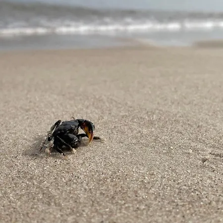 Διαμέρισμα Apartamentyrogowo Com *