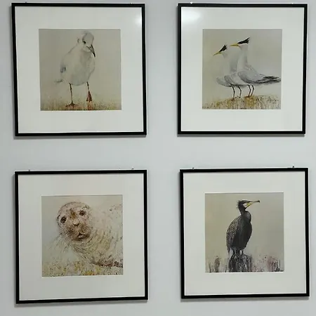 Apartamentyrogowo Com *