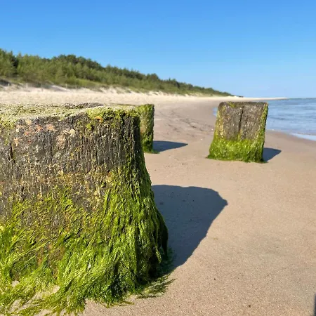 Apartman Apartamentyrogowo Com *