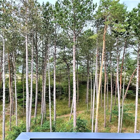 Apartamentyrogowo Com Apartman