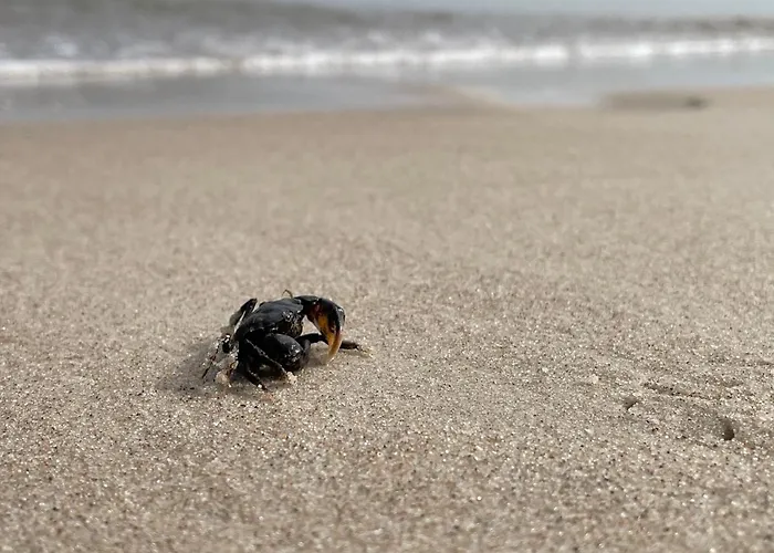 Apartamento Apartamentyrogowo Com *