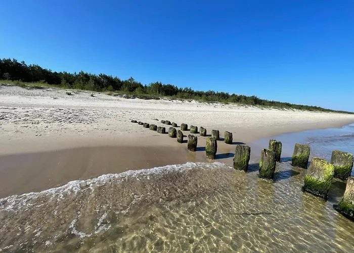 Apartamentyrogowo Com