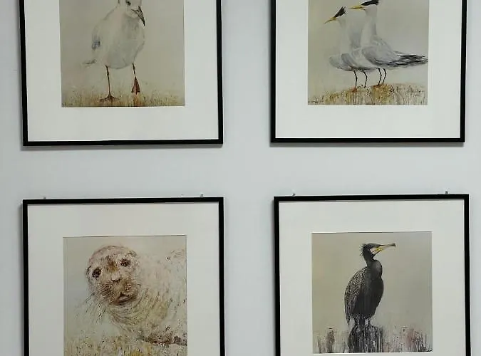 Apartamentyrogowo Com *