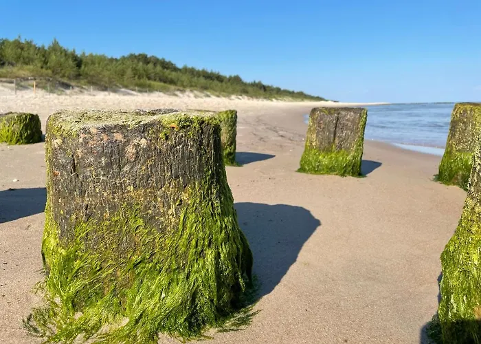 Apartament Apartamentyrogowo Com *