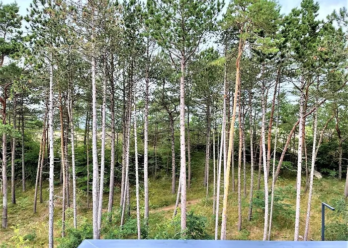 Apartamentyrogowo Com Apartament