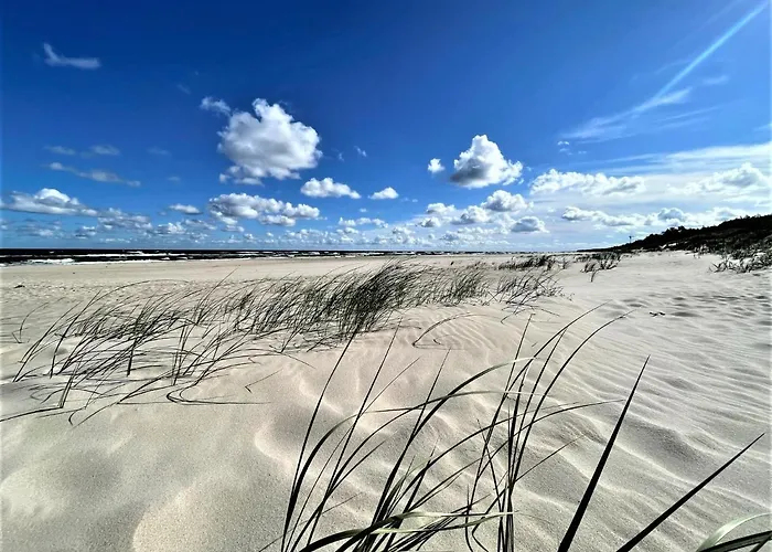 Apartamento Apartamentyrogowo Com *