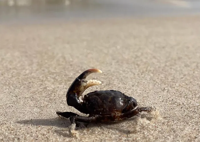 Apartament Apartamentyrogowo Com *